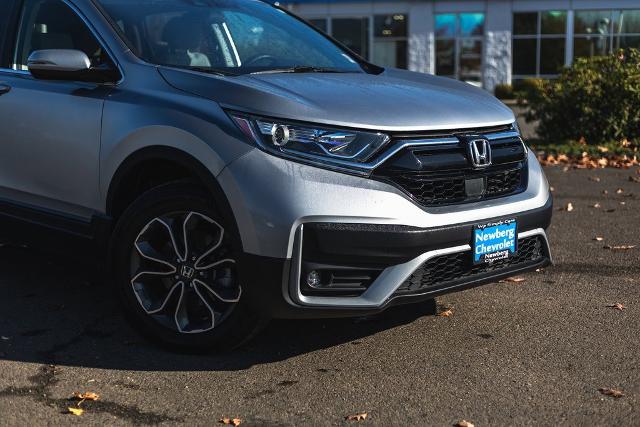 2020 Honda CR-V Vehicle Photo in NEWBERG, OR 97132-1927