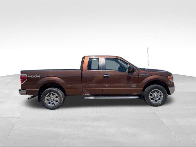 2012 Ford F-150 Vehicle Photo in MEDINA, OH 44256-9631