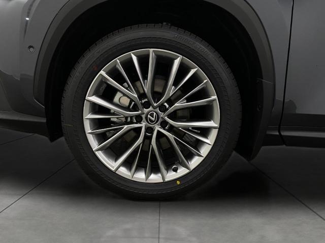 2025 Lexus NX 350h Vehicle Photo in Appleton, WI 54913