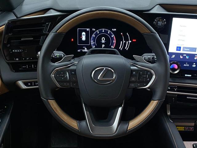 2024 Lexus RX 350 Vehicle Photo in Appleton, WI 54913