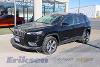 Used 2019 Jeep Cherokee Limited with VIN 1C4PJMDX2KD457043 for sale in Milan, IL