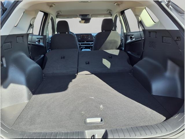 2023 Kia Sportage Vehicle Photo in Oshkosh, WI 54904