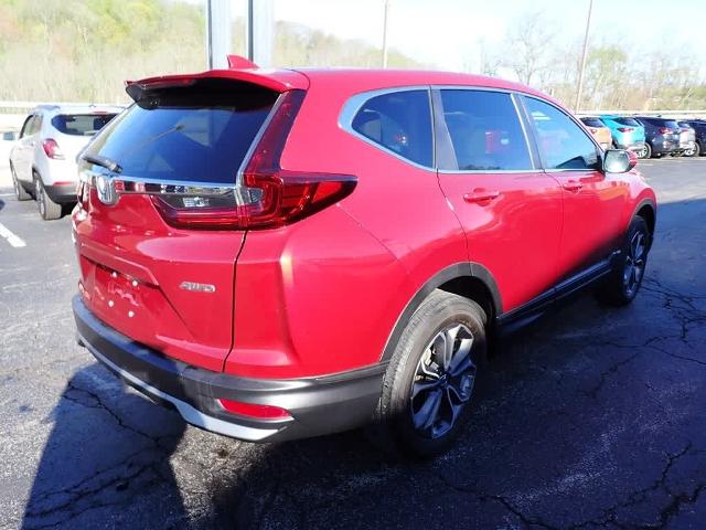 2020 Honda CR-V Vehicle Photo in ZELIENOPLE, PA 16063-2910