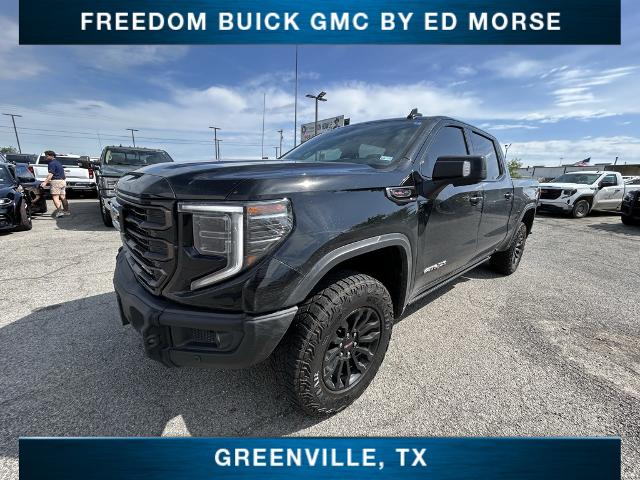 2023 GMC Sierra 1500 Vehicle Photo in Greenville, TX 75402
