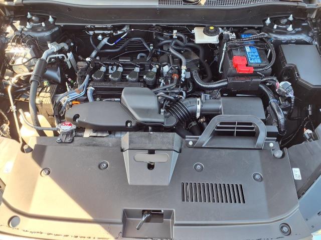 2025 Honda CR-V Vehicle Photo in Oshkosh, WI 54904
