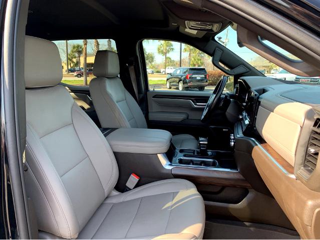 2023 GMC Sierra 1500 Vehicle Photo in BEAUFORT, SC 29906-4218