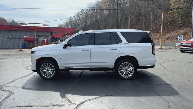 2021 Cadillac Escalade Vehicle Photo in MARION, NC 28752-6372