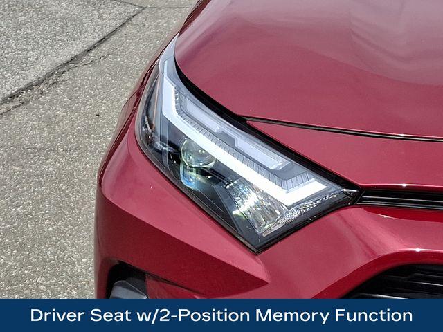 2023 Toyota RAV4 Vehicle Photo in DANBURY, CT 06810-5034