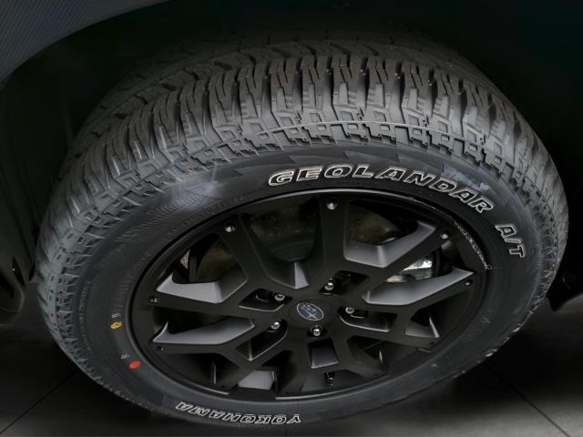 2025 Subaru Crosstrek Vehicle Photo in Green Bay, WI 54304