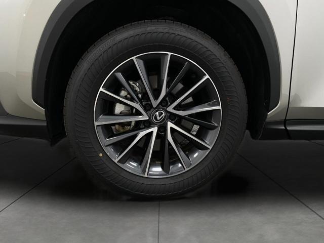 2025 Lexus NX 350 Vehicle Photo in Appleton, WI 54913