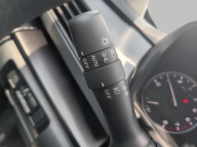 2025 Subaru Crosstrek Vehicle Photo in Green Bay, WI 54304