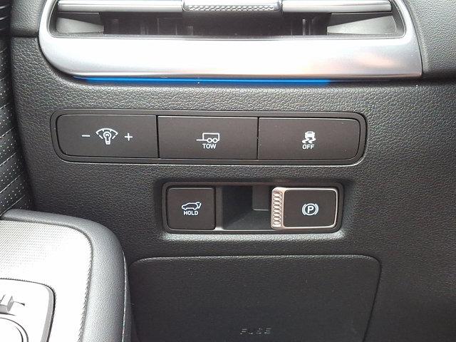 2024 Hyundai PALISADE Vehicle Photo in Philadelphia, PA 19116