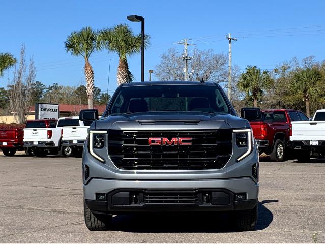 2025 GMC Sierra 1500 Vehicle Photo in BEAUFORT, SC 29906-4218