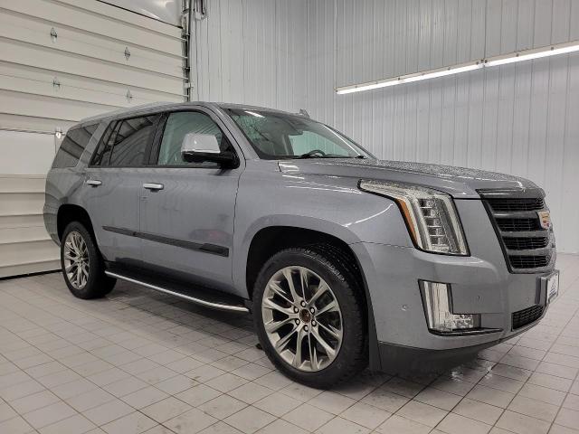 2020 Cadillac Escalade Vehicle Photo in Neenah, WI 54956