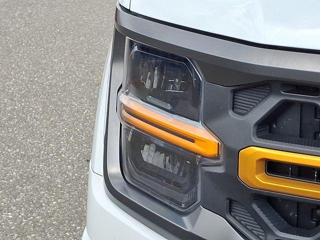 2024 Ford F-150 Vehicle Photo in PAWLING, NY 12564-3219