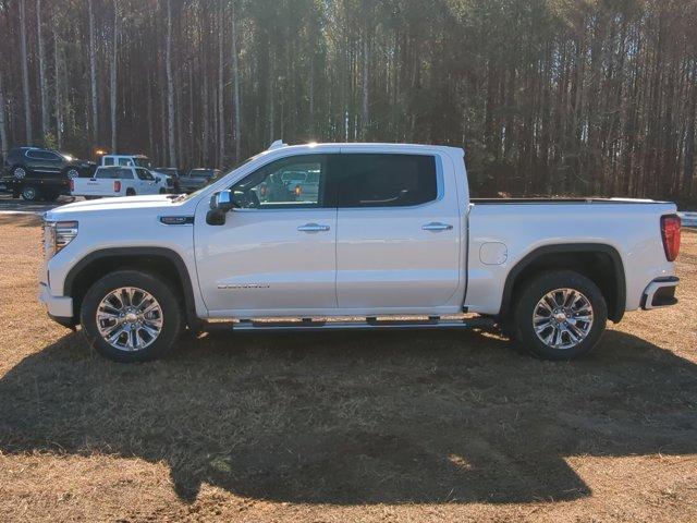 2025 GMC Sierra 1500 Vehicle Photo in ALBERTVILLE, AL 35950-0246