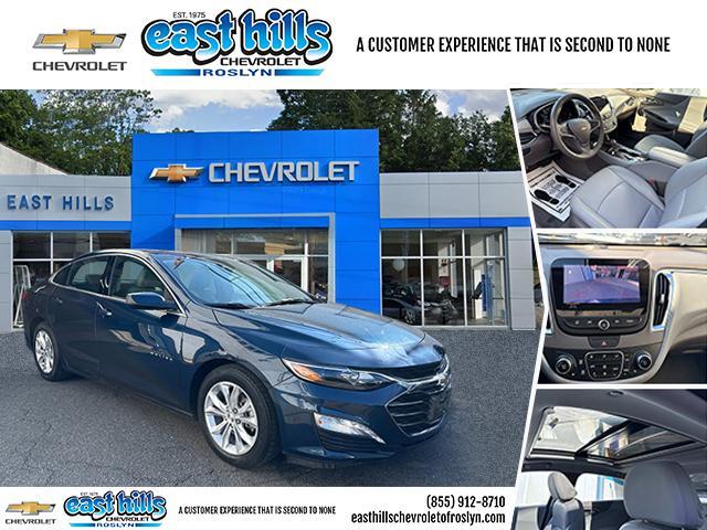 2019 Chevrolet Malibu Vehicle Photo in Roslyn, NY 11576