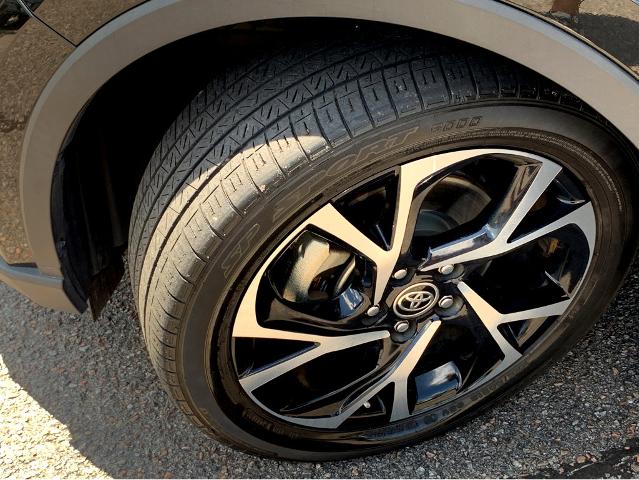 2022 Toyota C-HR Vehicle Photo in BEAUFORT, SC 29906-4218