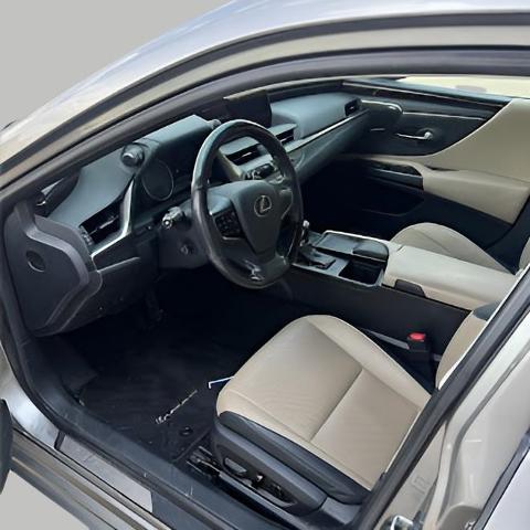 2019 Lexus ES 350 Vehicle Photo in Appleton, WI 54913