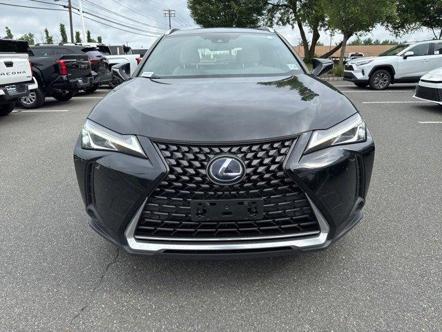 2020 Lexus UX 250h Vehicle Photo in Flemington, NJ 08822
