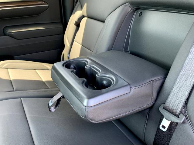 2025 Chevrolet Silverado 1500 Vehicle Photo in BEAUFORT, SC 29906-4218