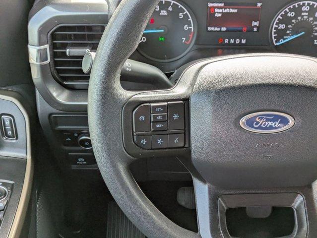 2023 Ford F-150 Vehicle Photo in SELMA, TX 78154-1460