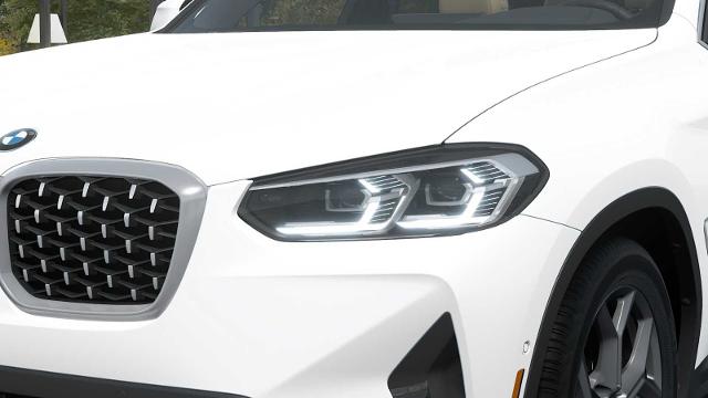 2025 BMW X4 xDrive30i Vehicle Photo in GRAPEVINE, TX 76051