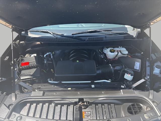 2019 Chevrolet Silverado 1500 Vehicle Photo in MANITOWOC, WI 54220-5838