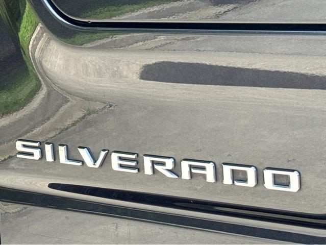 2023 Chevrolet Silverado 1500 Vehicle Photo in Hinesville, GA 31313