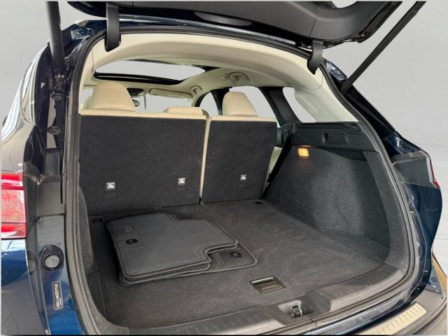 2021 INFINITI QX50 Vehicle Photo in Appleton, WI 54914