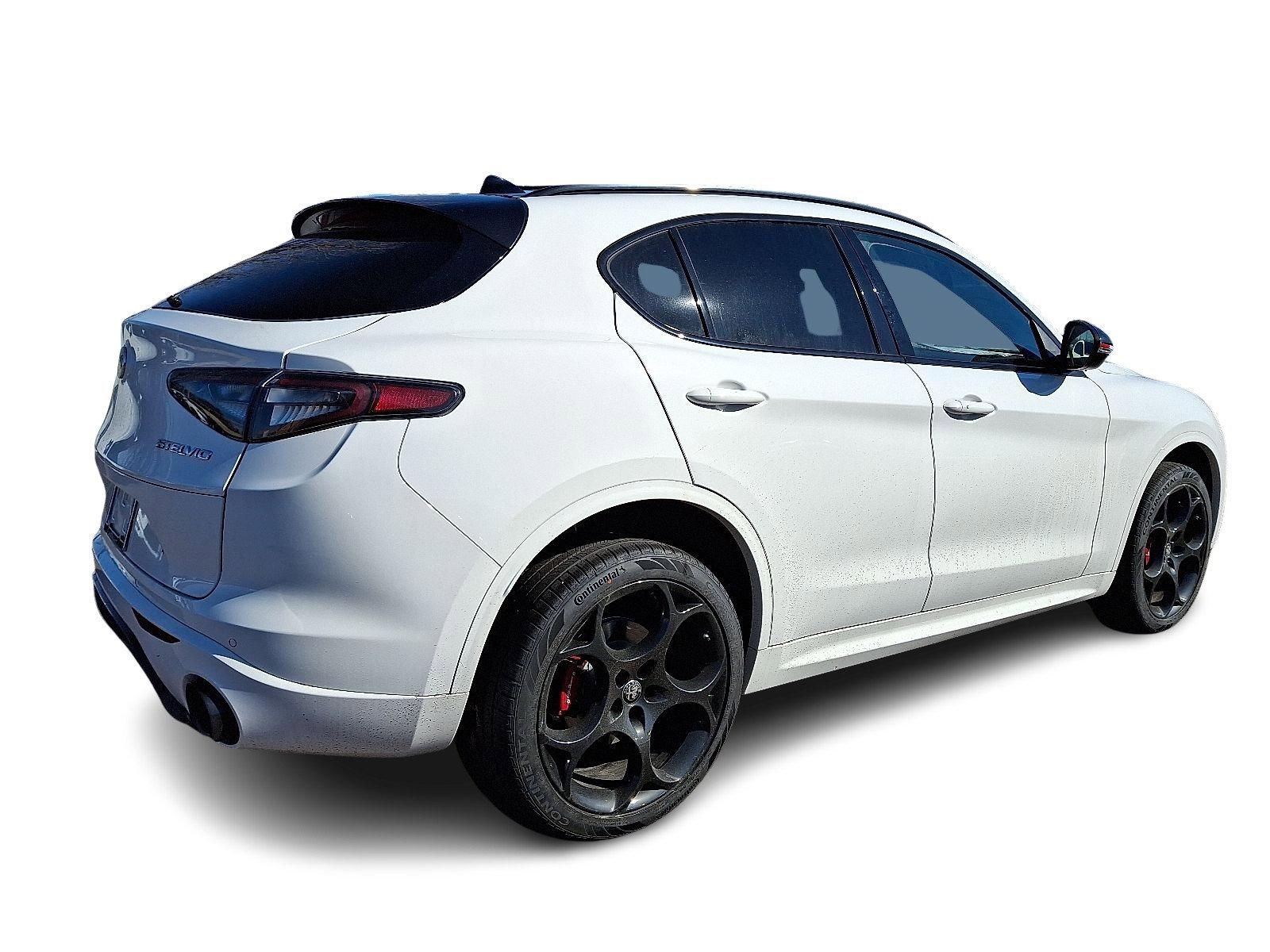 2025 Alfa Romeo Stelvio Vehicle Photo in Willow Grove, PA 19090