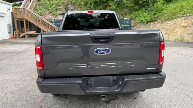 2020 Ford F-150 Vehicle Photo in PITTSBURGH, PA 15226-1209