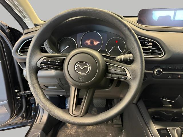 2025 Mazda CX-30 Vehicle Photo in Green Bay, WI 54304