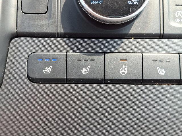 2024 Hyundai PALISADE Vehicle Photo in Philadelphia, PA 19116