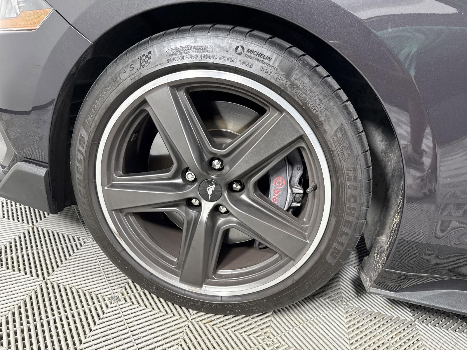 2022 Ford Mustang Vehicle Photo in Georgetown, TX 78626