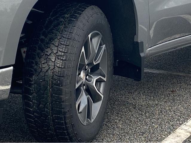 2024 Chevrolet Silverado 1500 Vehicle Photo in BEAUFORT, SC 29906-4218
