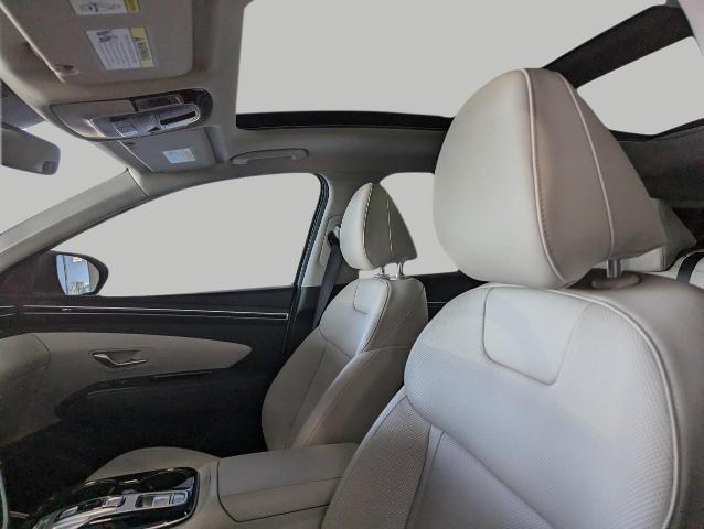 2024 Hyundai TUCSON Hybrid Vehicle Photo in Oshkosh, WI 54901