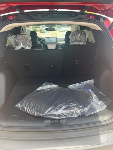 2024 Ford Escape Vehicle Photo in Winslow, AZ 86047-2439