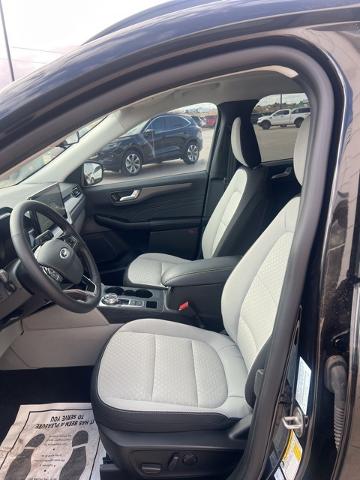 2024 Ford Escape Vehicle Photo in Winslow, AZ 86047-2439