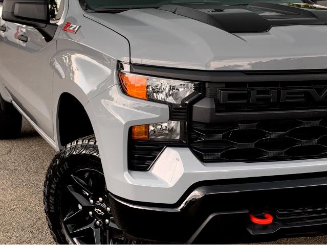2025 Chevrolet Silverado 1500 Vehicle Photo in BEAUFORT, SC 29906-4218