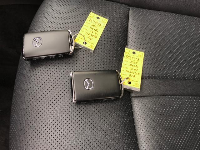 2025 Mazda CX-90 Vehicle Photo in GREEN BAY, WI 54303-3330