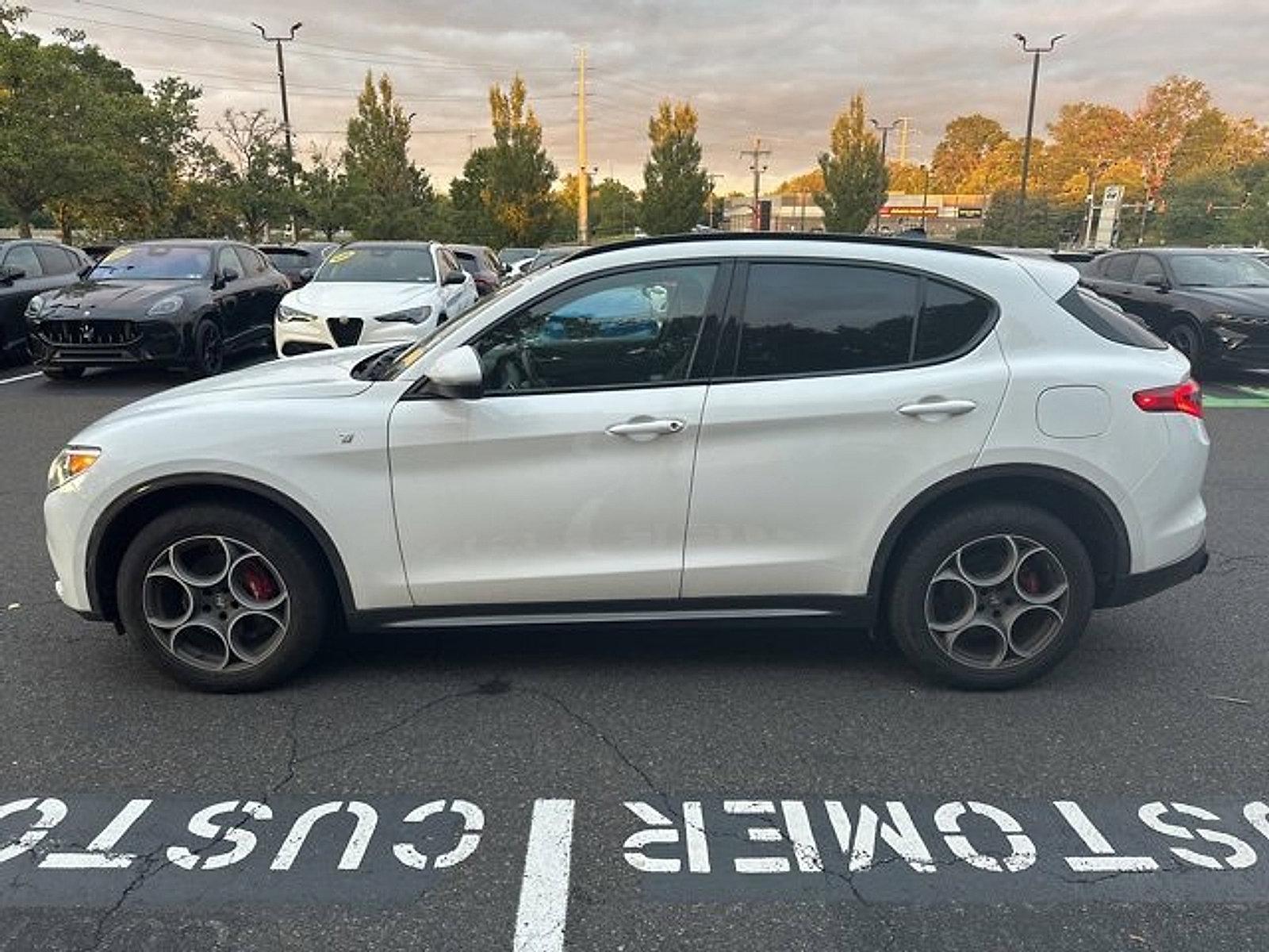 2022 Alfa Romeo Stelvio Vehicle Photo in Willow Grove, PA 19090