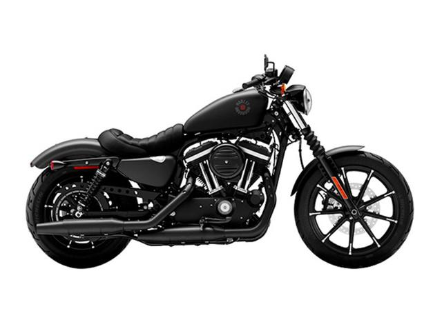 Iron 883 for sale hotsell