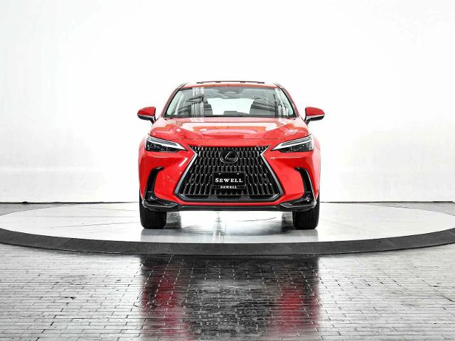 2024 Lexus NX 250 Vehicle Photo in DALLAS, TX 75235