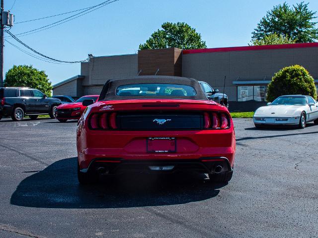 2023 Ford Mustang Vehicle Photo in MADISON, IN 47250-1611