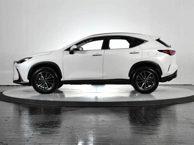 2024 Lexus NX 250 Vehicle Photo in DALLAS, TX 75235