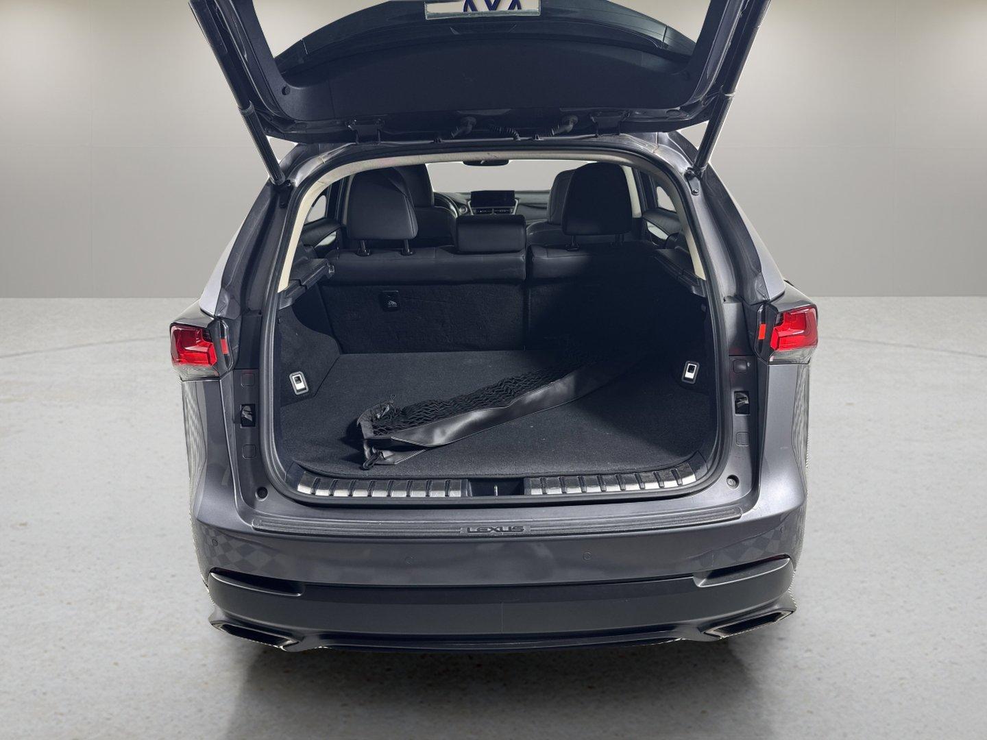 2019 Lexus NX 300 Vehicle Photo in Georgetown, TX 78626