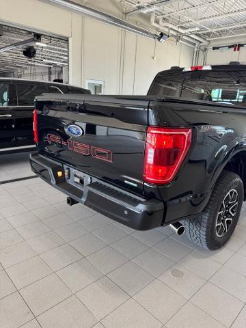 2023 Ford F-150 Vehicle Photo in Peoria, IL 61615