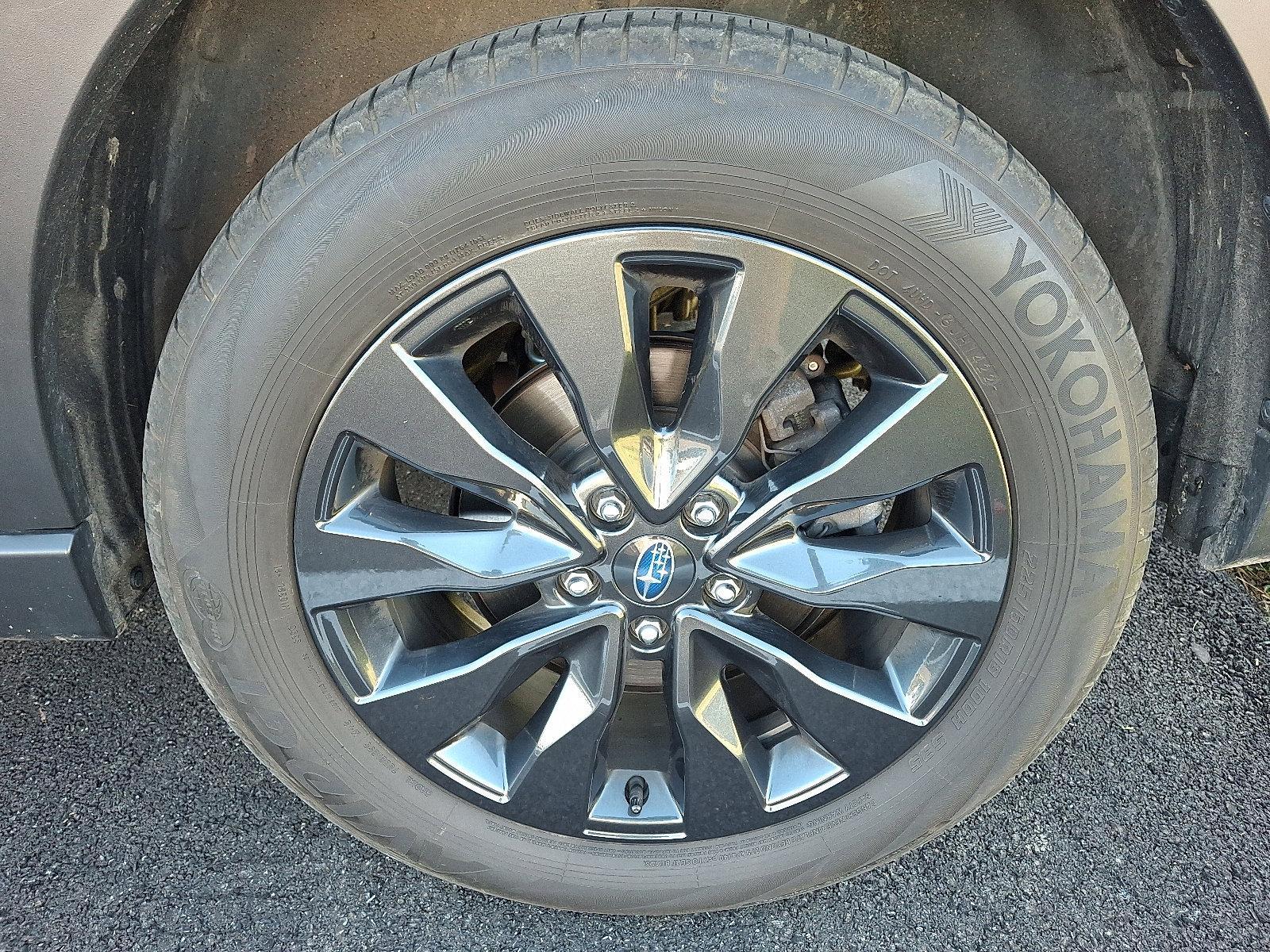 2023 Subaru Outback Vehicle Photo in Easton, PA 18045