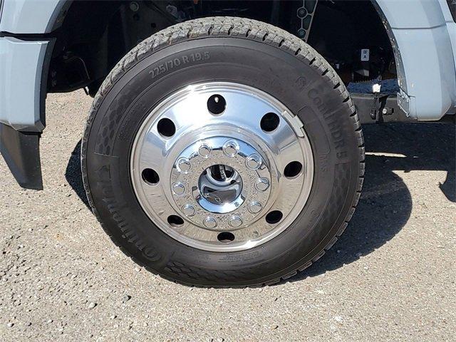 2024 Ford Super Duty F-450 DRW Vehicle Photo in MILFORD, OH 45150-1684